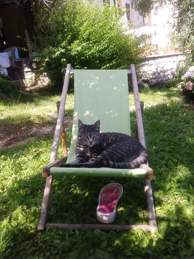 Bed and Breakfast Poggio del Sole Bassano del Grappa 0*,